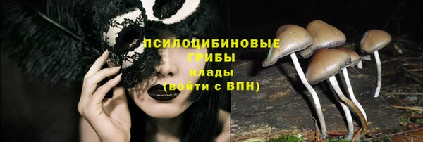 гашик Алексин