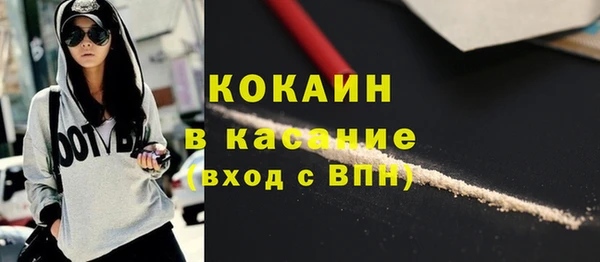 гашик Алексин