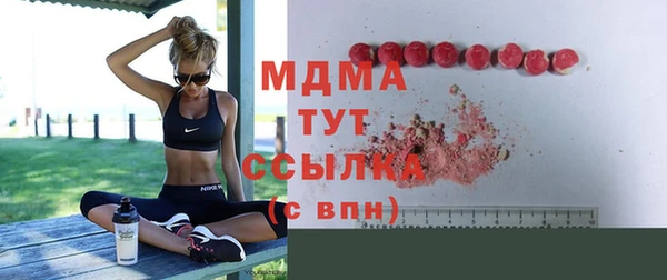 гашик Алексин