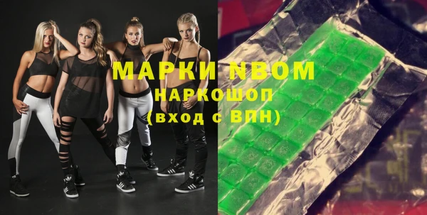 гашик Алексин