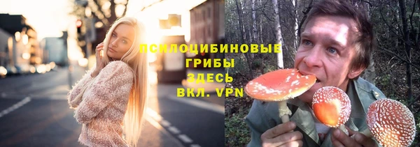 гашик Алексин