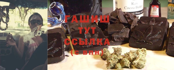 гашик Алексин