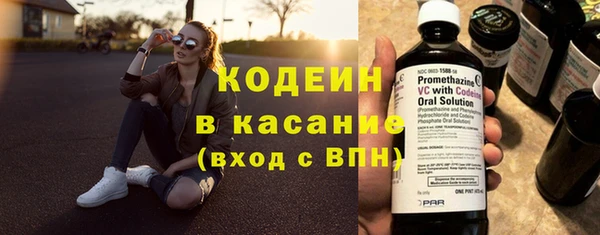 гашик Алексин