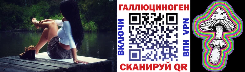 KRAKEN ссылка  Заводоуковск  Псилоцибиновые грибы мицелий 