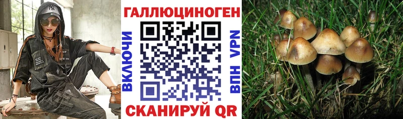 Галлюциногенные грибы мухоморы Заводоуковск